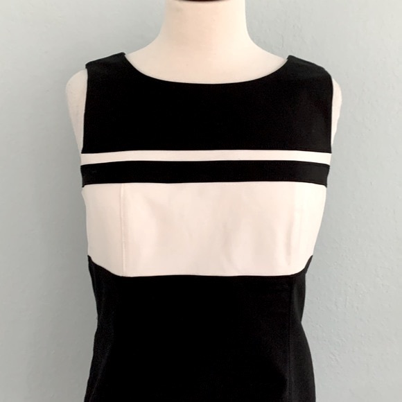 WHBM Perfect Form Dress - Picture 6 of 14